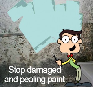 Stop damaged paint