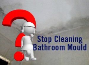 Stop Cleaning Bathroom mould