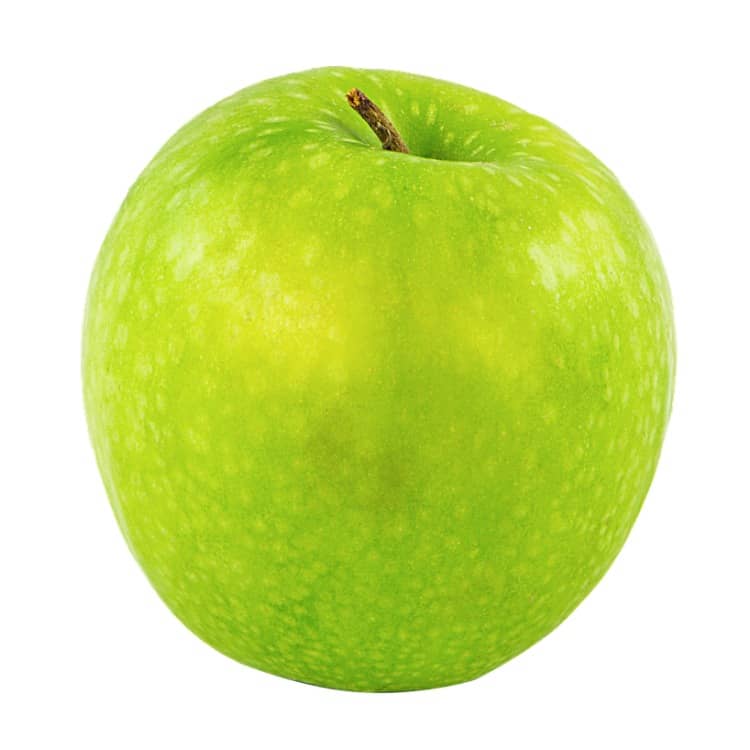 Shower Dome vs Steam Stopper vs Turtle Shell Apples for Apples Shower Dome vs Steam Stopper vs Turtle Shell Apples for Apples