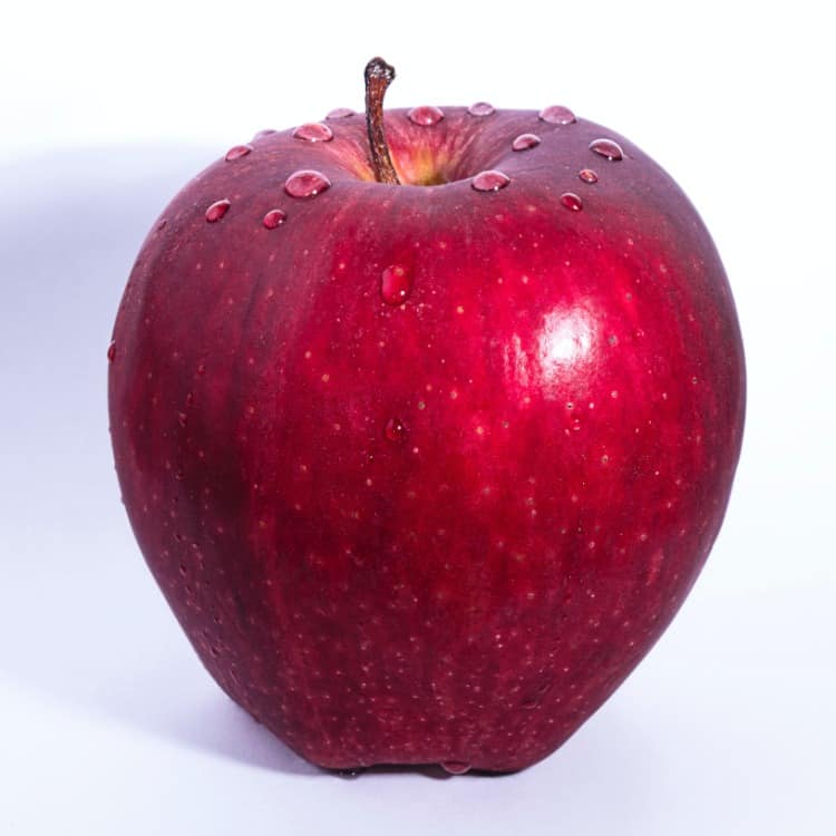 Steam Stopper vs Shower Dome Apples for Apples